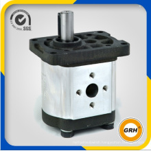 Group 2 High Pressure Hydraulic Gear Motor for Centrifugal Pump